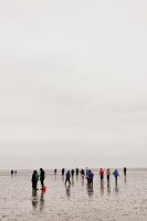 People enjoying on beach