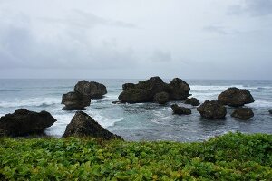 View of Caribbean sea with huge rocks at Lesser Antilles, Caribbean island, Barbados