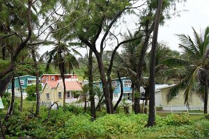 View of house with people at Lesser Antilles, Caribbean island, Barbados