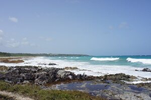 View of Caribbean sea with waves and rocks at Lesser Antilles, Caribbean island, Barbados