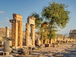 Türkei, Türkische Ägäis, Hierapolis, Hauptstrasse mit Nordtor, antik