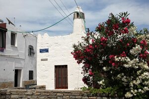 White building and flowers on tree in Aegean, Turkey