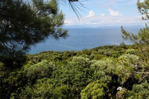 View of landscape in Dilek Peninsula National Park, Turkey