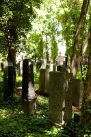 View of graves in Jewish Friedhof in Pankow, Berlin