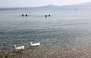 People at Kargi Bay in Turkey