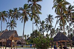 Coconut trees and thatched houses in Zanzibar Island, Tanzania, East Africa