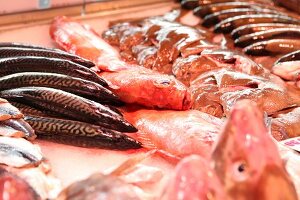 frischer Fisch in der Warenauslage 