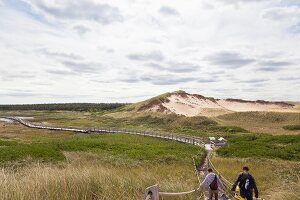 Sand dunes and wooden bridge in Greenwich,  Prince Edward Island National Park, Canada