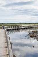 Sand dunes and wooden bridge in Greenwich,  Prince Edward Island National Park, Canada