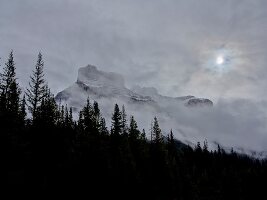 View of Icefield Parkway covered with fog, Banff National Park, Alberta, Canada 