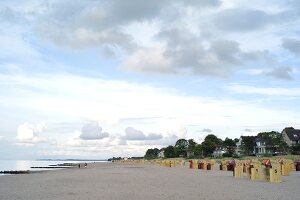 View of Gromitz beach and Baltic Sea in Schleswig Holstein, Germany