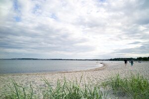 View of Gromitz beach and Baltic Sea in Schleswig Holstein, Germany