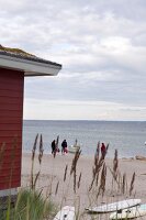 People at surf school on beach in Sierksdorf, Schleswig Holstein, Germany