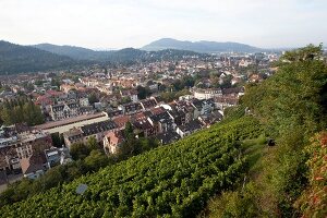 View of cityscape from Schlossberg, Freiburg, Germany