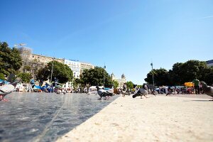 View of city centre square with pigeons and flea market at Barcelona, Spain, Surface level