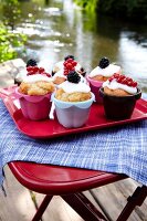 Picnic table with lemon muffins