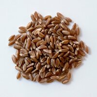 A pile of emmer wheat