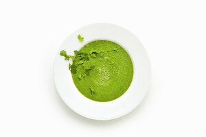 Grüne Suppe mit Avocado, Spinat und Moringapulver