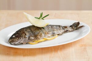 A grilled trout
