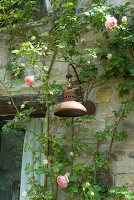 Alte Kupferlampe an Steinwand mit Rosenranken