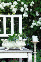 White garden bench with antique flower bowl and candle holder, surrounded by flowering shrub