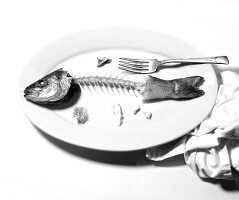 An Eaten Whole Branzino Fish on a White Plate with Fork; White Background