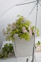 Bouquet of floribunda roses, scabious and lady's mantle beneath umbrella