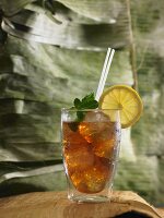 Rooibos iced tea