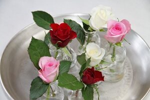 Roses of different colours in glass vases on tray