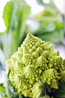 Romanesco broccoli (close-up)