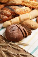 Various rolls and loaves of bread with ears of wheat