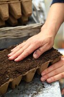 Eine Frauenhand streicht Blumenerde in einer Saatschale glatt