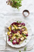 Radicchio salad with fennel and potatoes