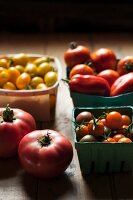 A Variety of Freshly Picked Tomatoes in Containers Including Sungolds, Plum, Grape, and Pink Lady