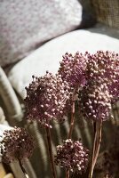 Seed heads in front of armchair with loose cushions