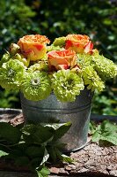 Zinc bucket filled with yellow zinnias and orange roses