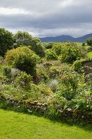 Cottage garden and view of landscape below a dramatic sky