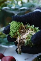 Creating a Christmas arrangement on a cake stand (adding moss)