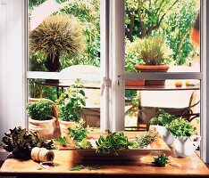 Lots of different herbs in front of a kitchen window with a view of the garden