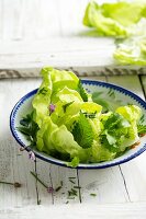 Spring salad of nettle leaves, chives and cress