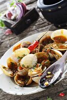 Clams with marinara sauce