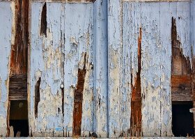 Weathered wooden door with peeling blue paint (detail)