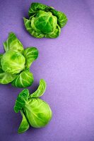 Brussels sprouts on a purple surface