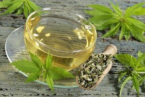 Hemp tea in a glass cup