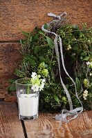 Christmas wreath of mistletoe and Star-of-Bethlehem flowers and sprig of Star-of-Bethlehem in glass of milk