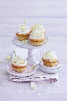 Mini cupcakes decorated with elderflowers