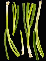 Spring onions on a black surface