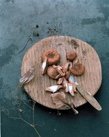 An autumnal arrangement of sliced mushrooms