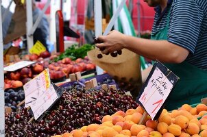 Obstverkäufer füllt Kirschen in Papiertüte beim Marktstand