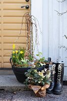 Spring arrangement of pussy willow and narcissus in planter with handles, hellebore wrapped in paper and pair of wellingtons